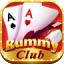 rummy 19