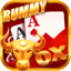 rummy palace apk