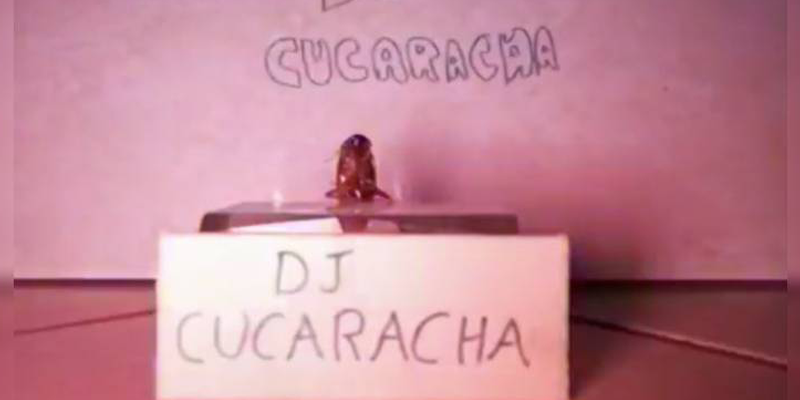 DJ Cucaracha